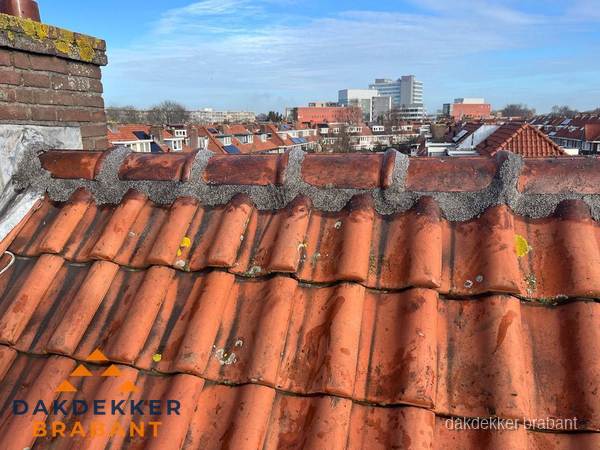 Pannendak met nokvorst en schoorsteen, dakrenovatie in Brabant