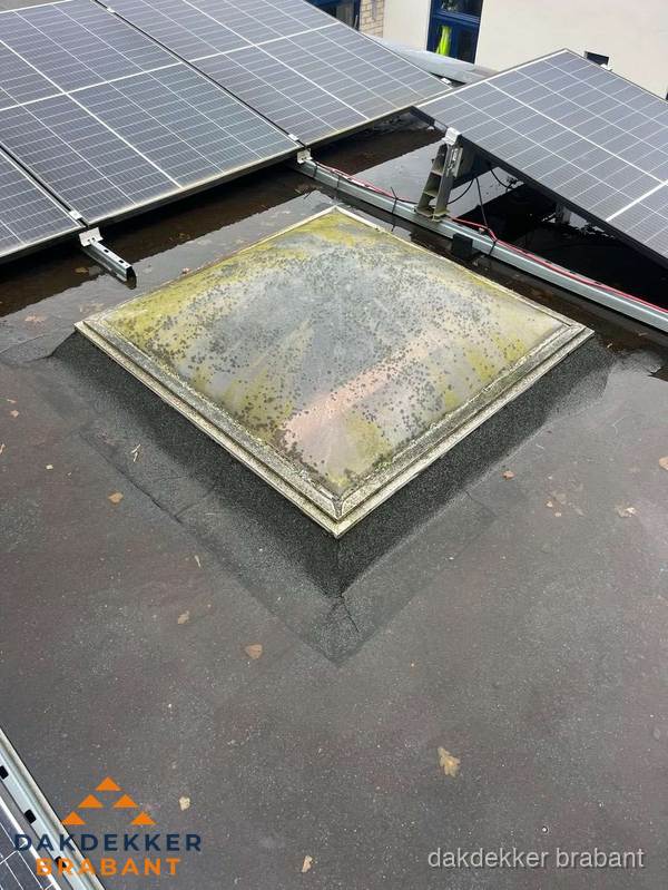 Vervuilde lichtkoepel op plat dak met zonnepanelen in Brabant