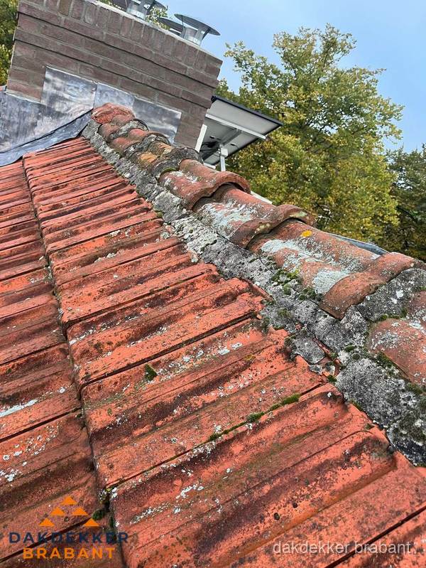 Verweerd hellend dak met mosgroei op nokvorst in Brabant