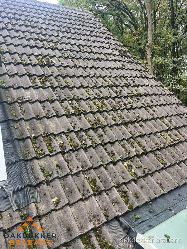 Verweerd pannendak met mosgroei dat renovatie nodig heeft in Brabant